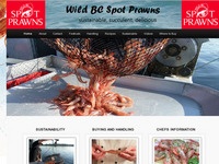 wildbcspotprawns.com